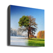 4 Seasons Wall Art by Adam Brzuszek-canvas-DECOROLALA