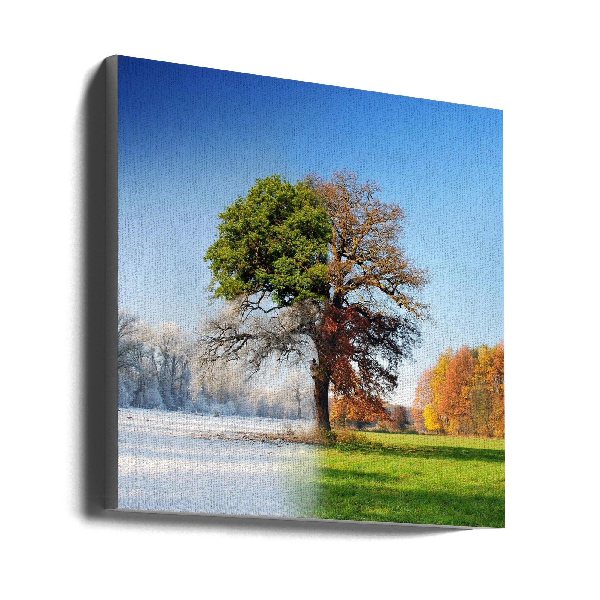 4 Seasons Wall Art by Adam Brzuszek-canvas-DECOROLALA