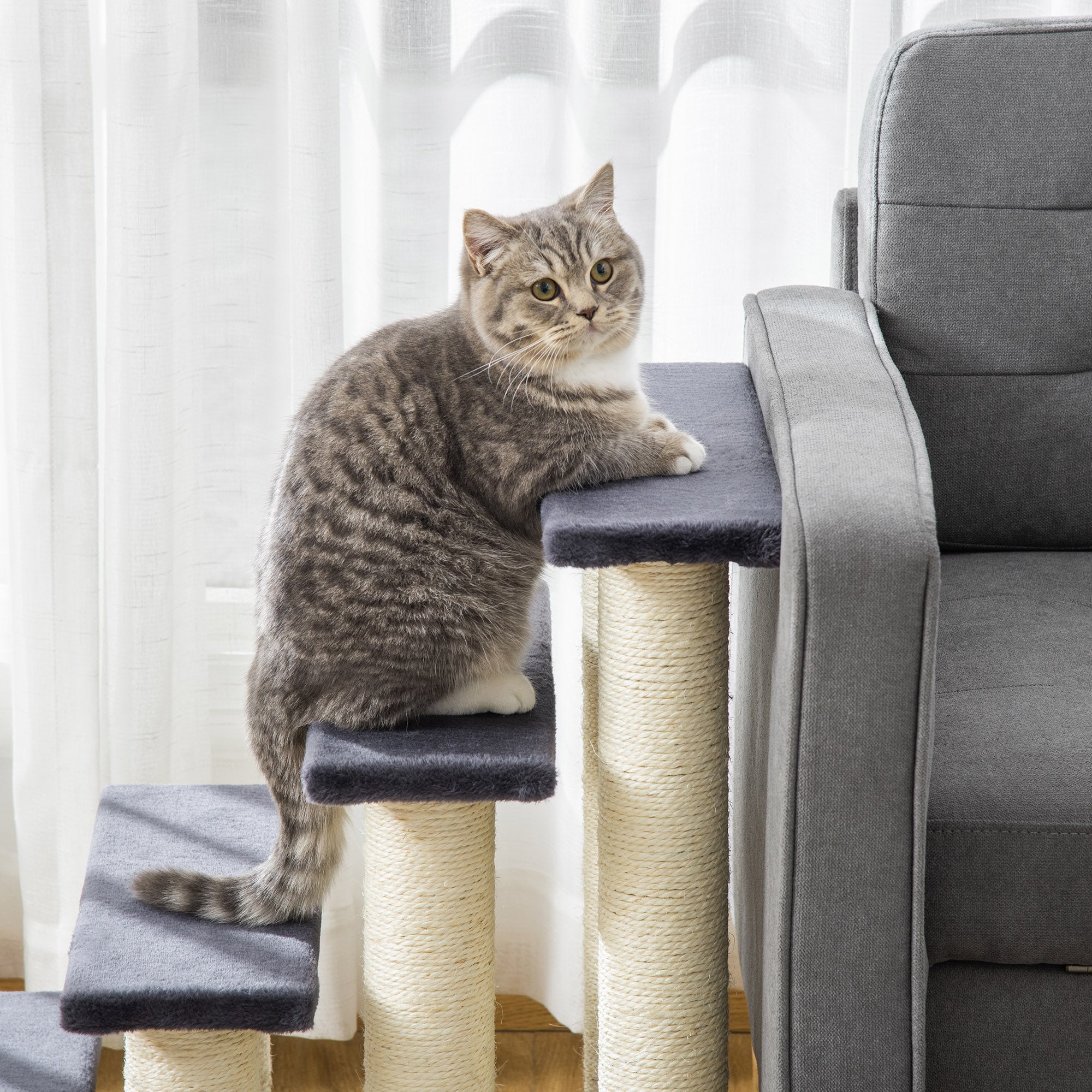 4-Tier Pet Stairs with Scratching Posts - Dark Grey-Cats-DECOROLALA