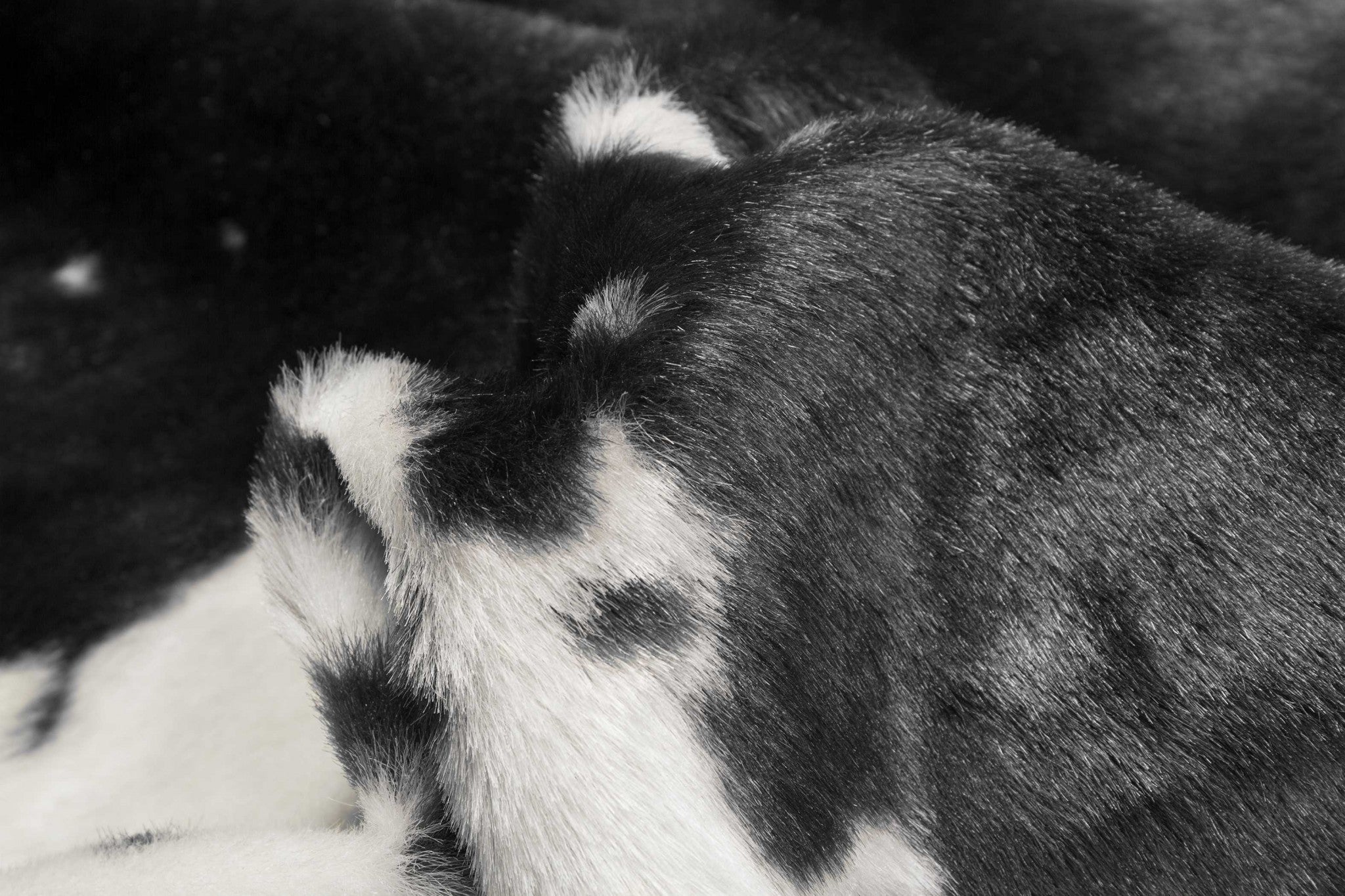 4' X 5' Brown And White Faux Fur Animal Print Washable Area Rug-Area Rugs-DECOROLALA