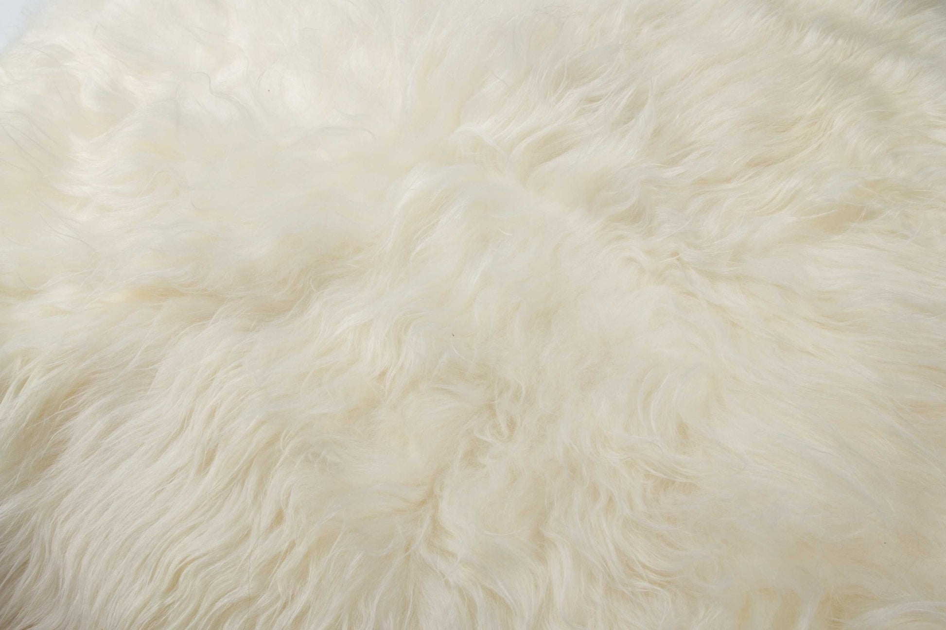 4' X 6' White Genuine Sheepskin Shag Area Rug-Area Rugs-DECOROLALA