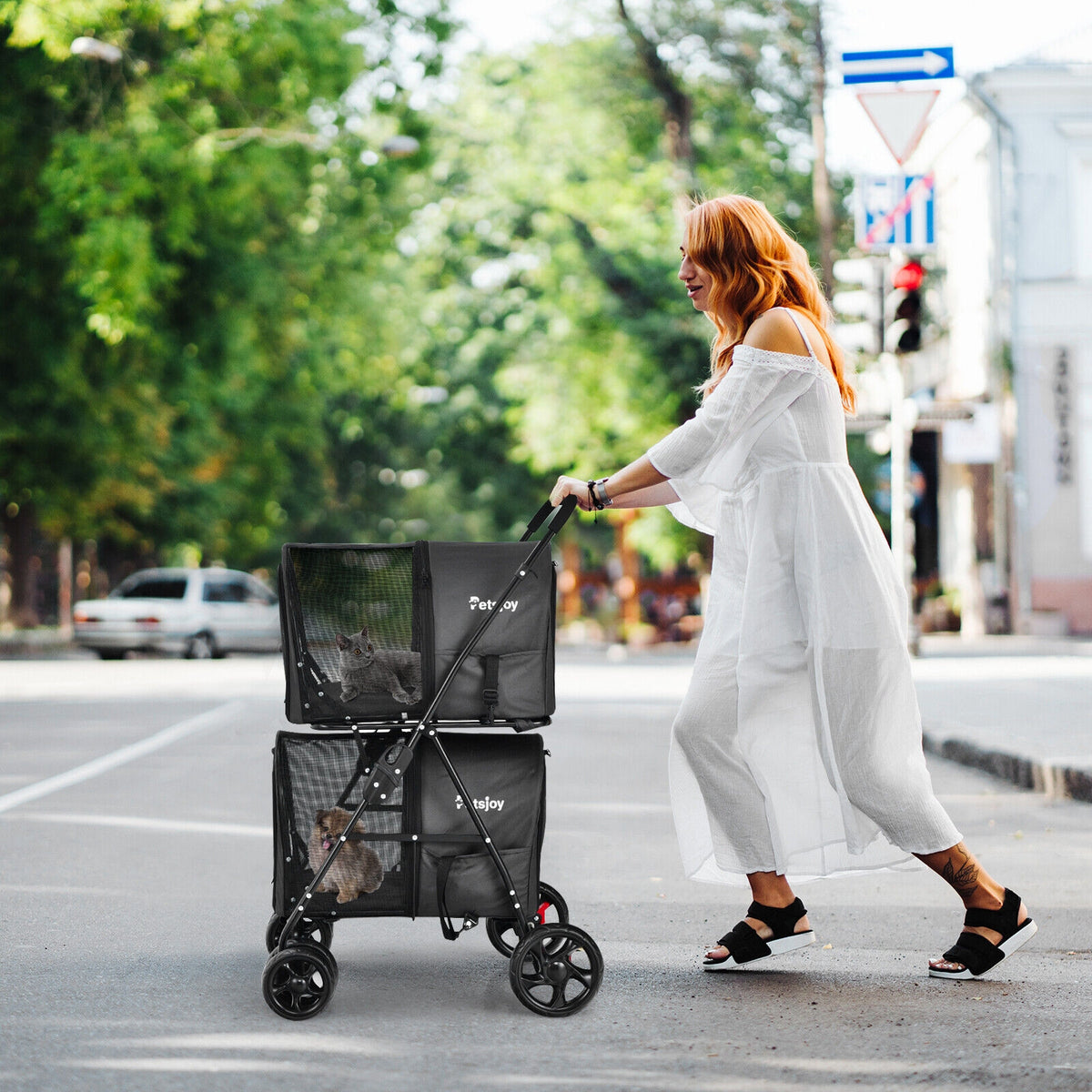 4-in-1 Double Pet Stroller with Detachable Carrier and Travel Carriage-Black-Dog Supplies-DECOROLALA