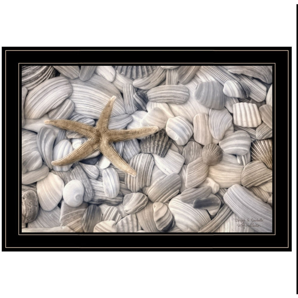 Set Of Two Cape Hatteras Lighthouse and Sea Shells 4 Black Framed Print Wall Art-4