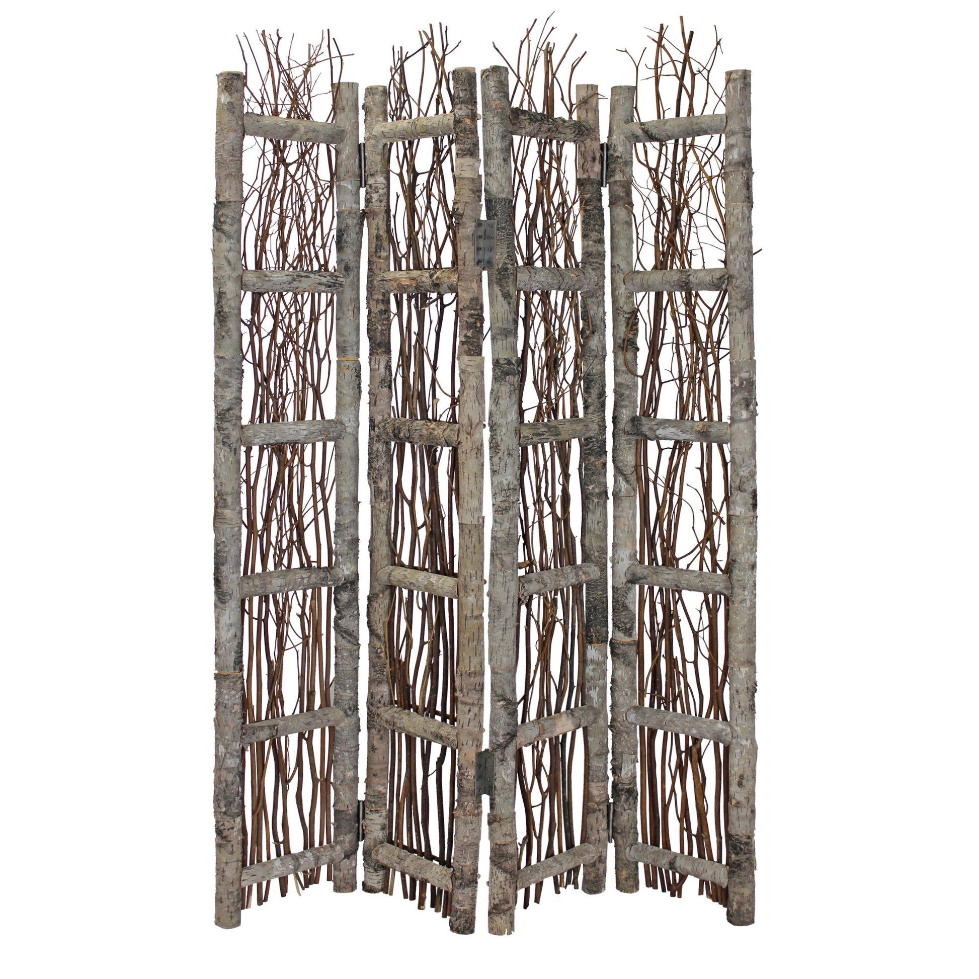 Earthy Birch and Twig Four Panel Room Divider Screen-Room Dividers-DECOROLALA