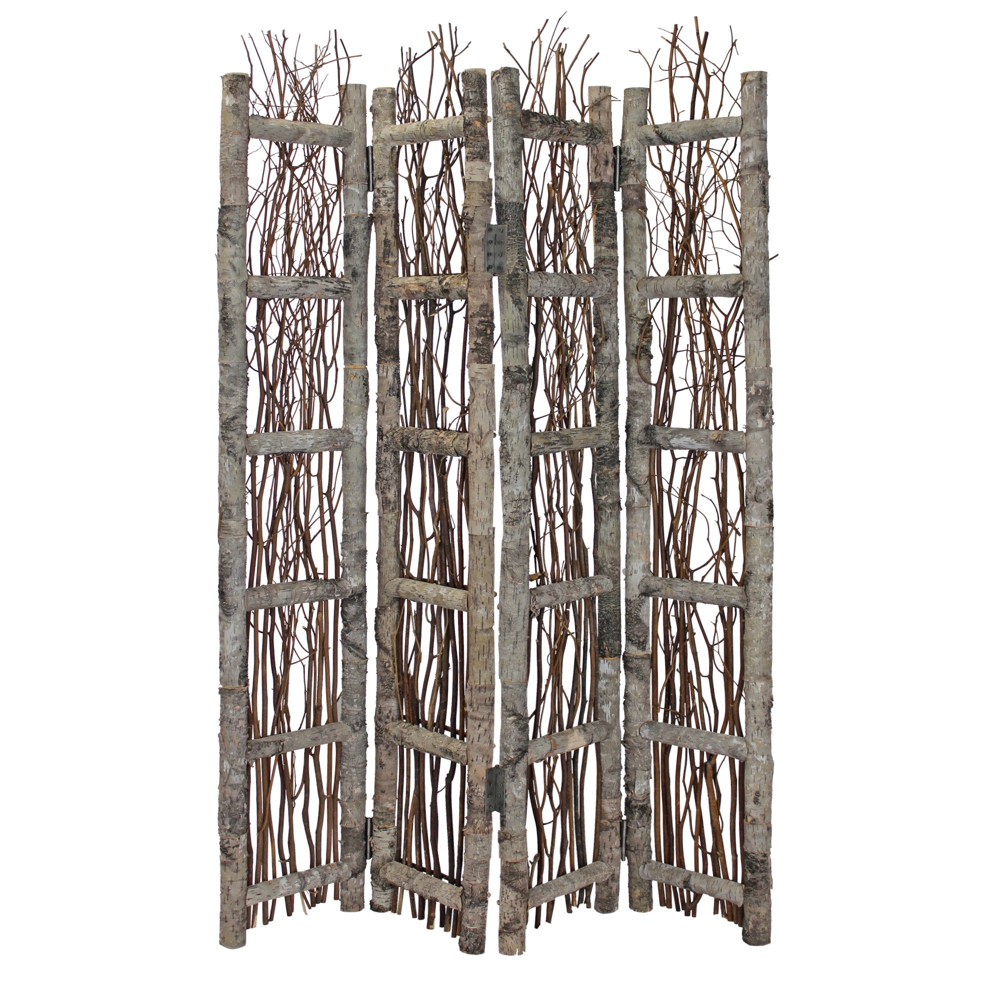 Earthy Birch and Twig Four Panel Room Divider Screen-Room Dividers-DECOROLALA