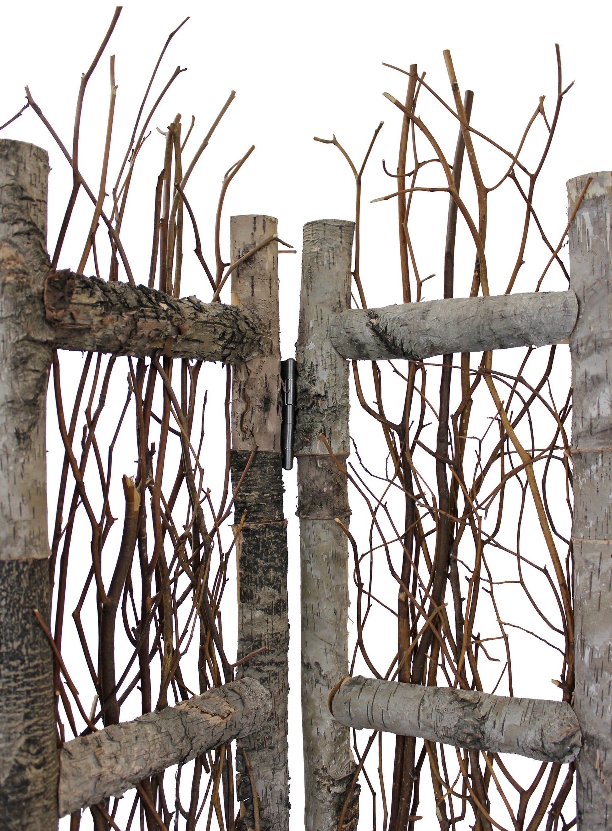 Earthy Birch and Twig Four Panel Room Divider Screen-Room Dividers-DECOROLALA