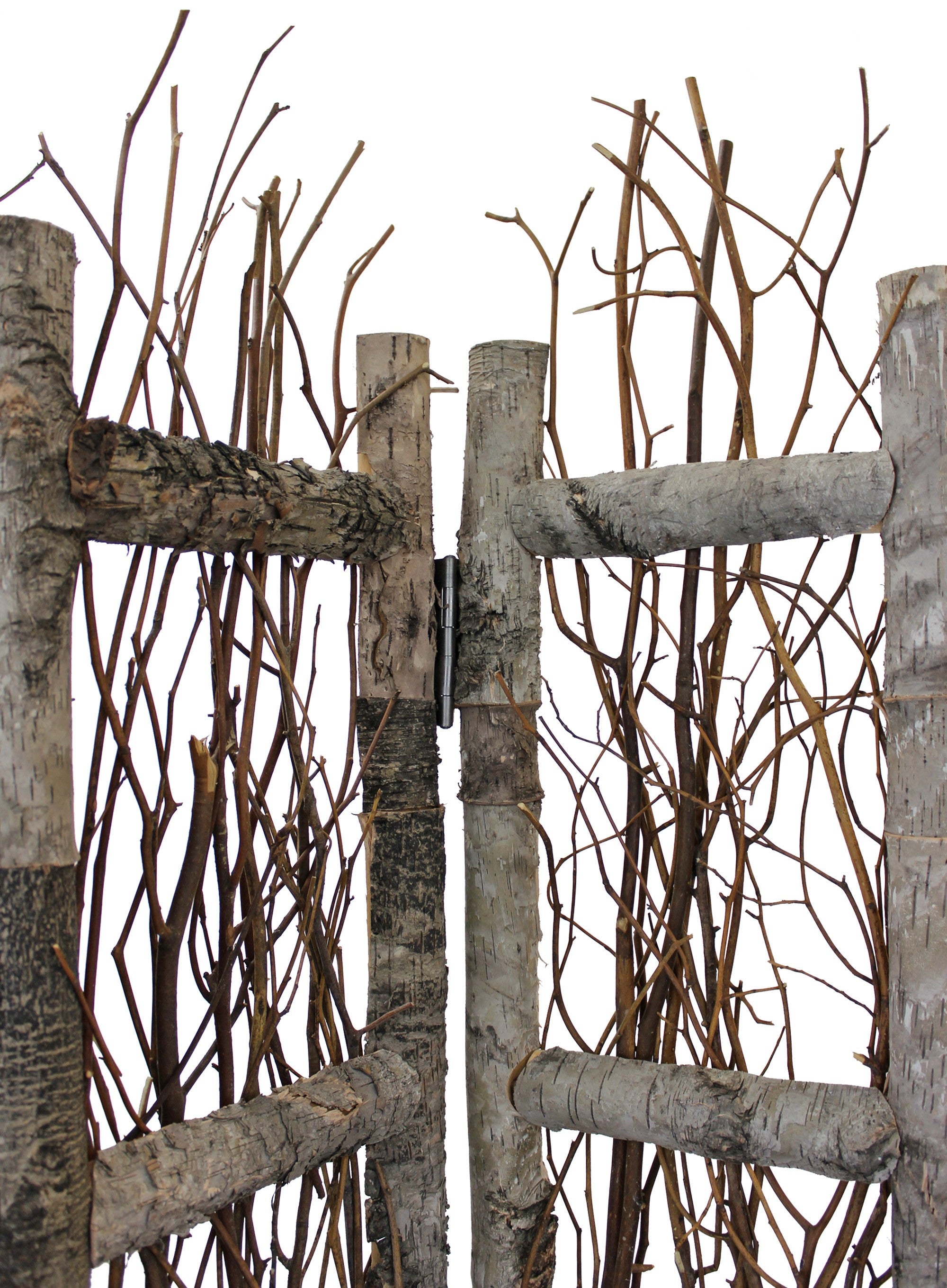 Earthy Birch and Twig Four Panel Room Divider Screen-Room Dividers-DECOROLALA