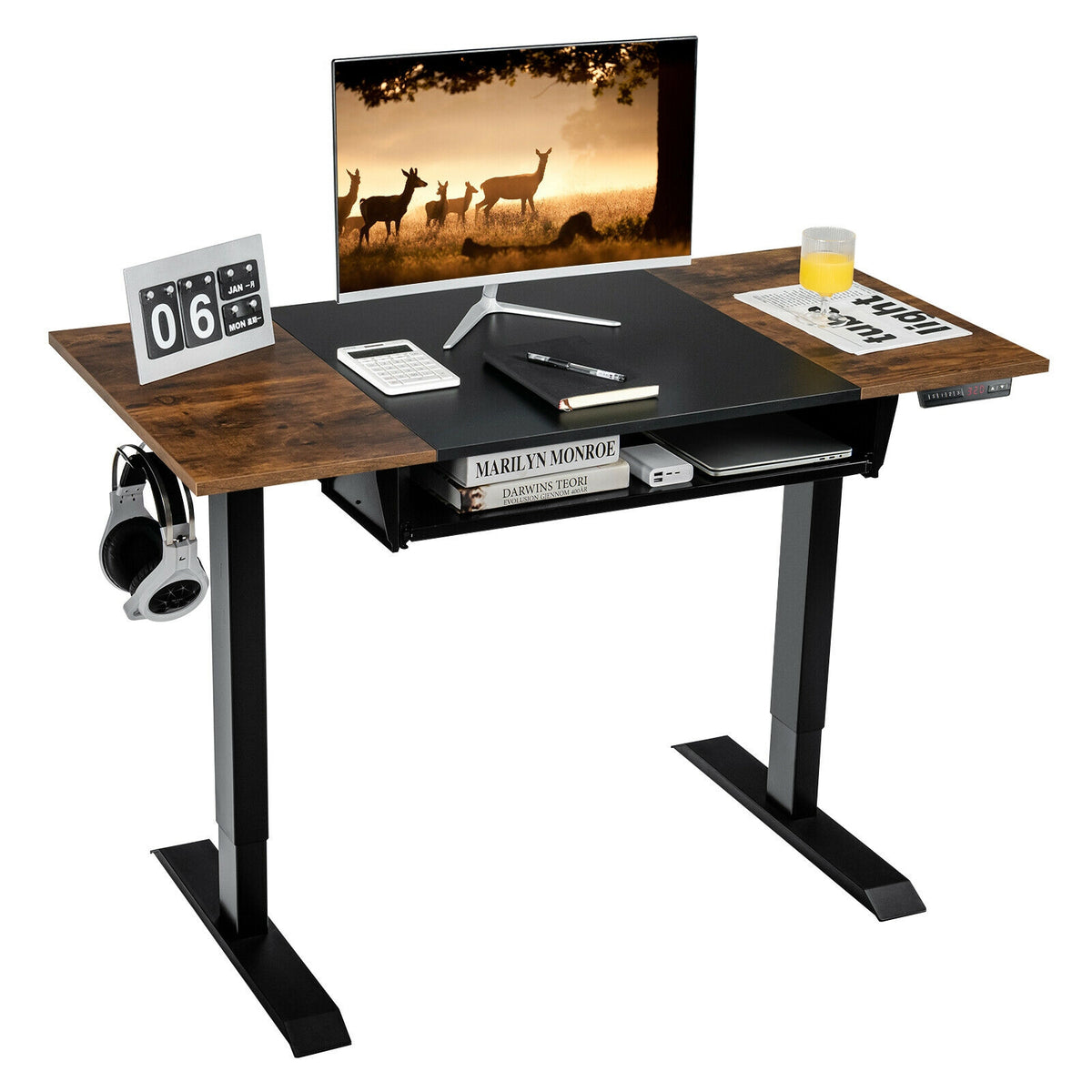 48 Inch Electric Sit to Stand Desk with Keyboard Tray-Black-Standing Desks-DECOROLALA