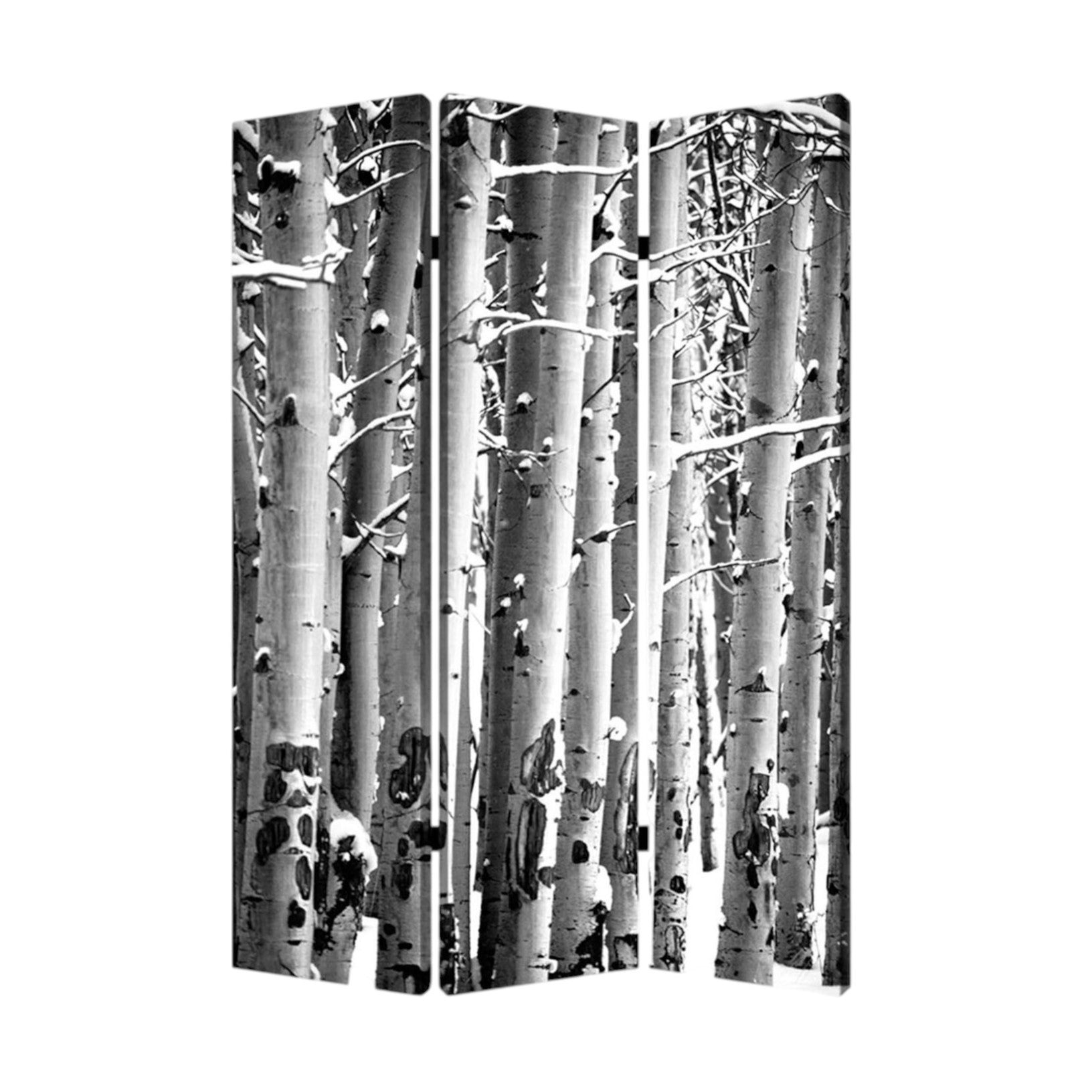 48" X 72" Gray And White Wood Canvas Birch Screen-Room Dividers-DECOROLALA