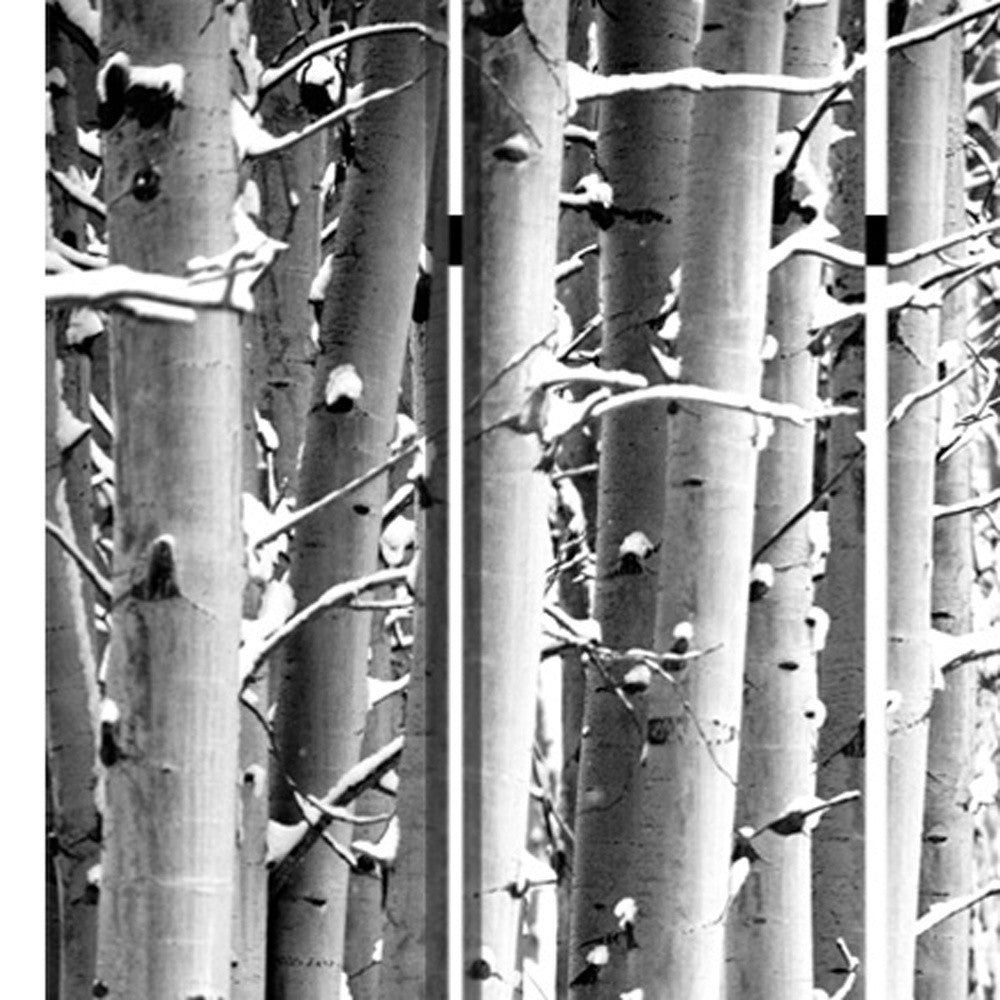 48" X 72" Gray And White Wood Canvas Birch Screen-Room Dividers-DECOROLALA
