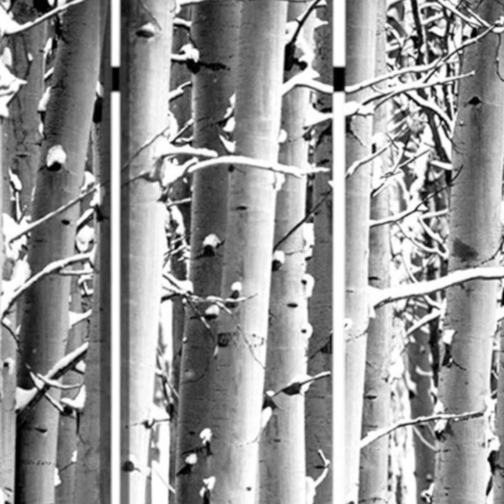 48" X 72" Gray And White Wood Canvas Birch Screen-Room Dividers-DECOROLALA