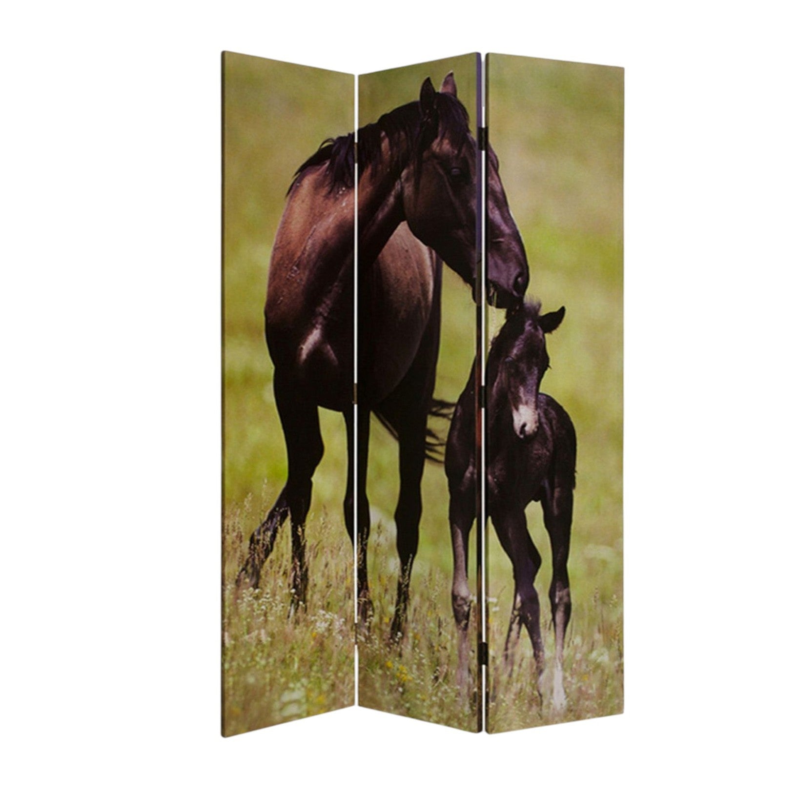 48" X 72" Multi Color Canvas Screen With Nurturing Mare-Room Dividers-DECOROLALA