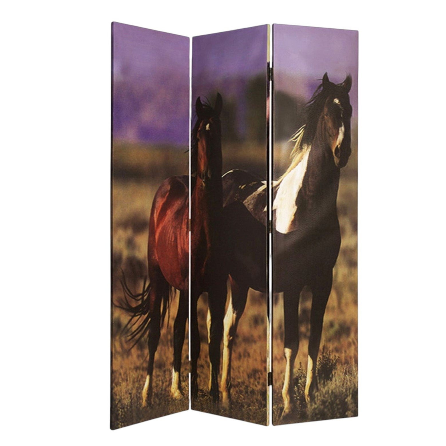 48" X 72" Multi Color Canvas Screen With Nurturing Mare-Room Dividers-DECOROLALA