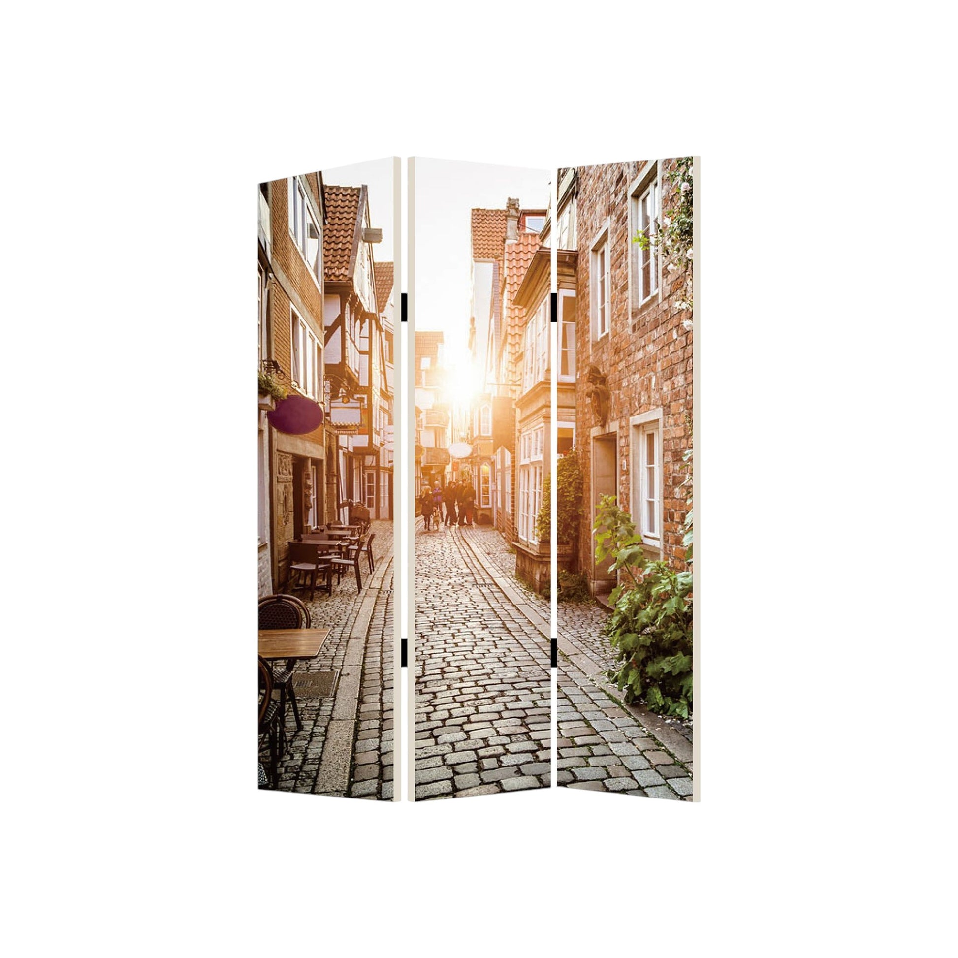 48 X 72 Multi Color European Promenade Screen-Room Dividers-DECOROLALA