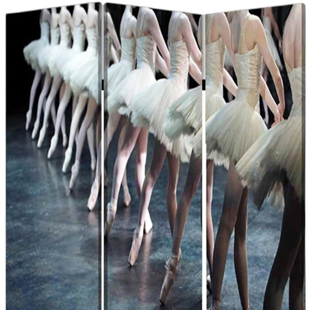 48" X 72" Multi Color Wood Canvas Ballet Screen-Room Dividers-DECOROLALA