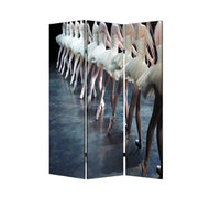 48" X 72" Multi Color Wood Canvas Ballet Screen-Room Dividers-DECOROLALA