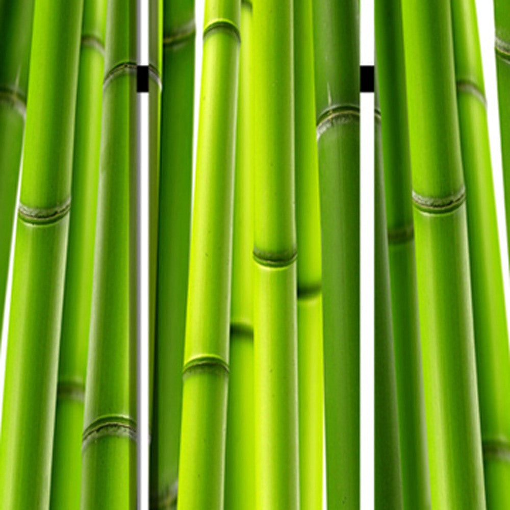 48" X 72" Multi Color Wood Canvas Bamboo Screen-Room Dividers-DECOROLALA