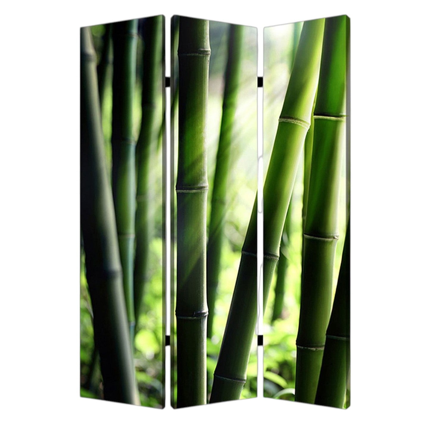 48" X 72" Multi Color Wood Canvas Bamboo Screen-Room Dividers-DECOROLALA