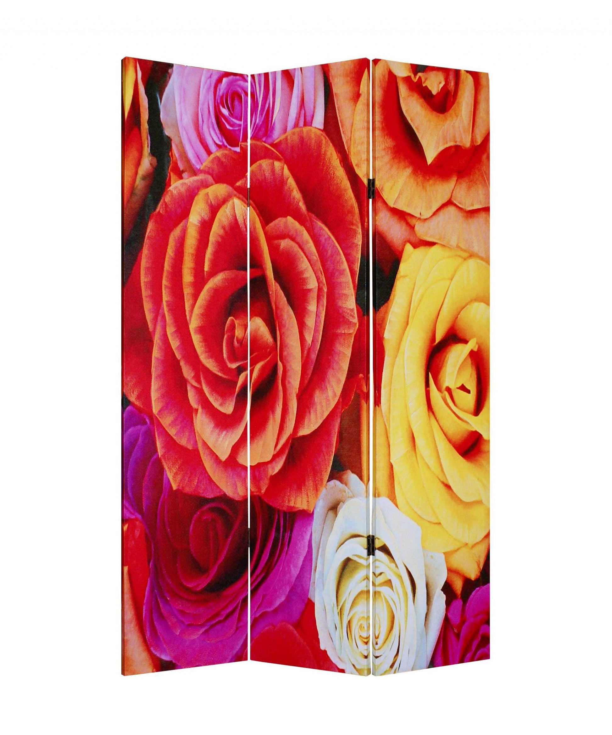 48 X 72 Multi Color Wood Canvas Daisy And Rose Screen-Room Dividers-DECOROLALA