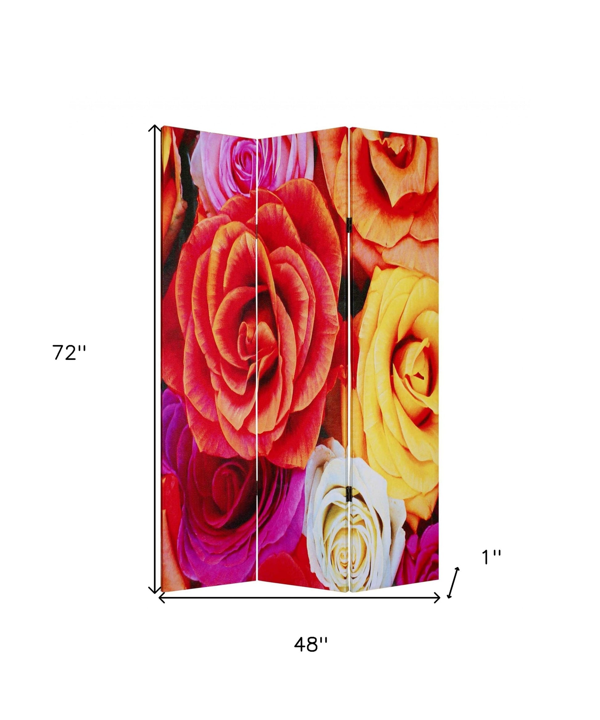 48 X 72 Multi Color Wood Canvas Daisy And Rose Screen-Room Dividers-DECOROLALA