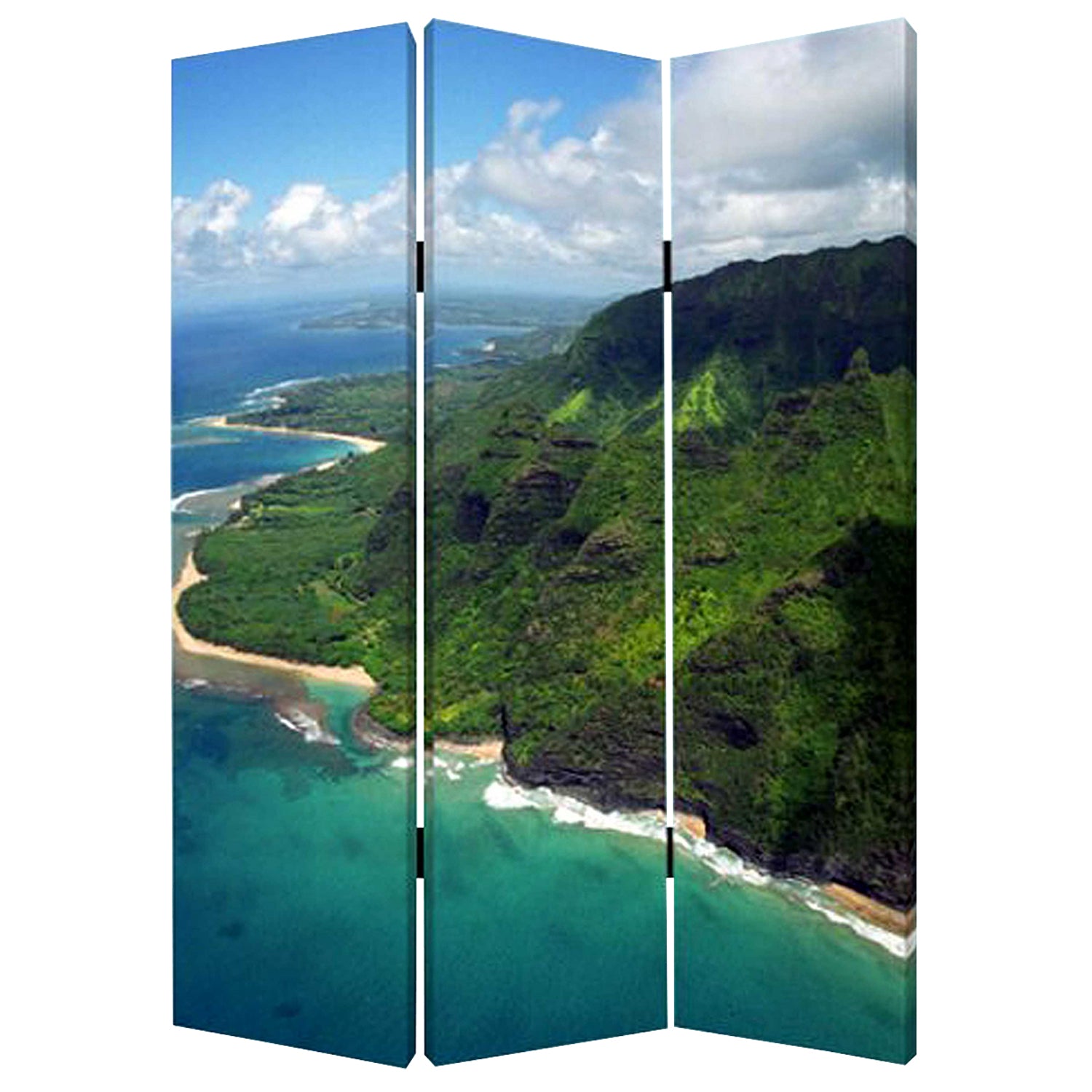 48 X 72 Multi Color Wood Canvas Palm Tripical Screen-Room Dividers-DECOROLALA