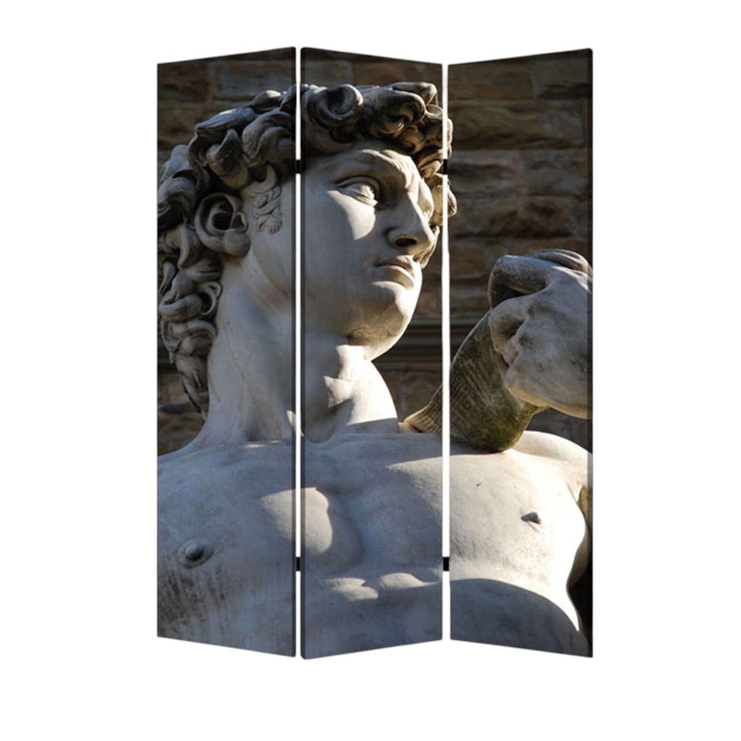 48" X 72" Multi Color Wood Canvas Rome Screen-Room Dividers-DECOROLALA