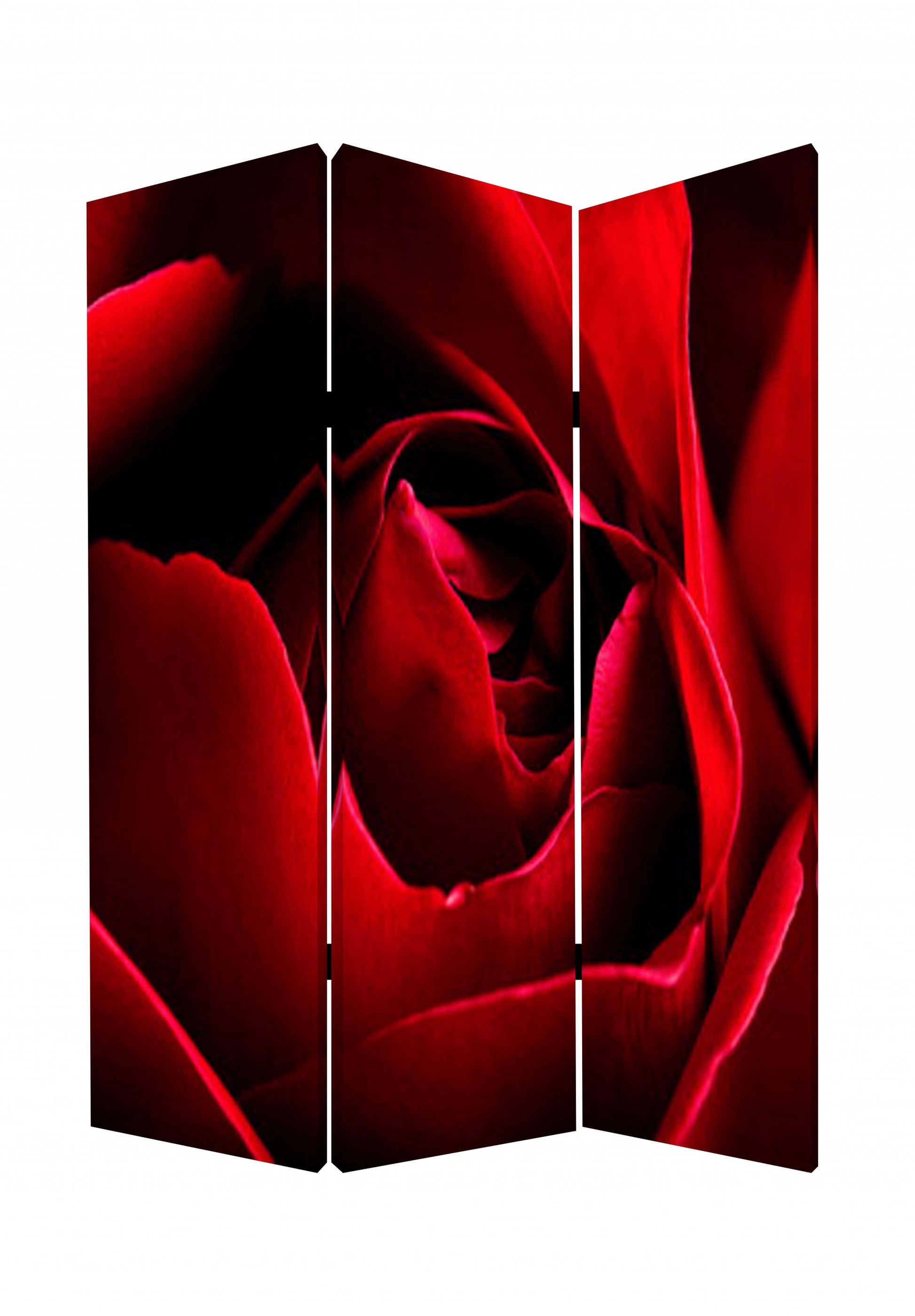 48 X 72 Multi Color Wood Canvas Rose Screen-Room Dividers-DECOROLALA