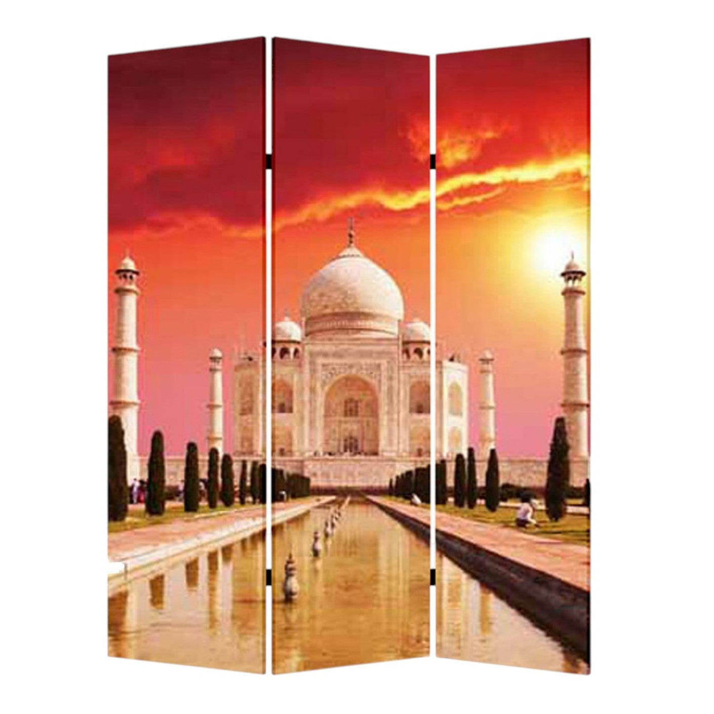 48" X 72" Multi Color Wood Canvas Taj Mahal Screen-Room Dividers-DECOROLALA