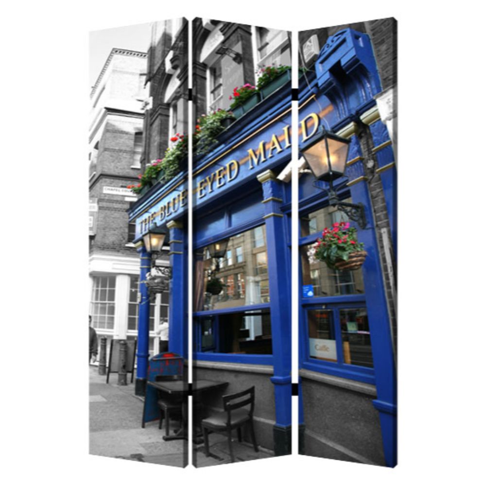 48" X 72" Multi Color Wood Canvas The Blue Eyed Screen-Room Dividers-DECOROLALA