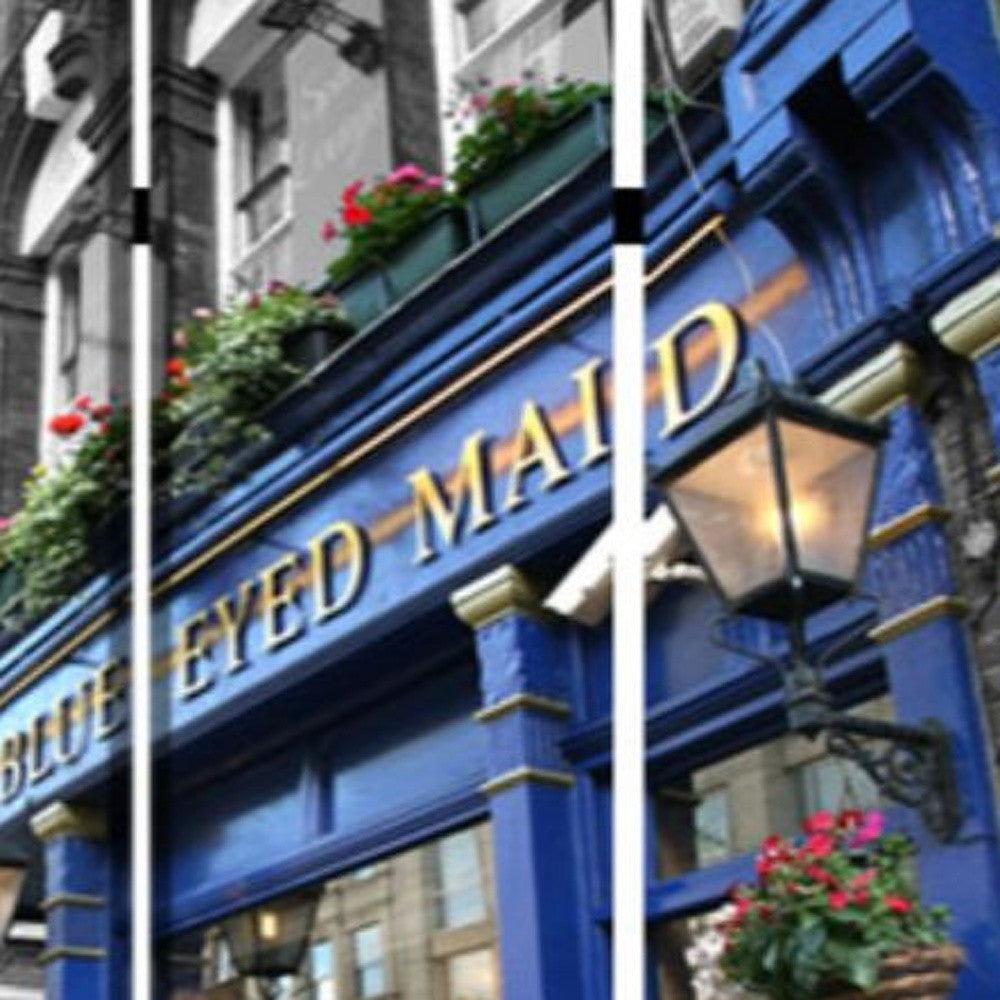 48" X 72" Multi Color Wood Canvas The Blue Eyed Screen-Room Dividers-DECOROLALA