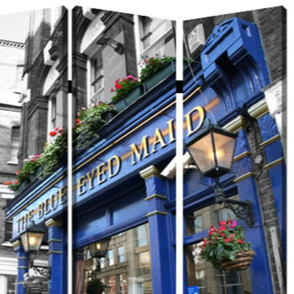 48" X 72" Multi Color Wood Canvas The Blue Eyed Screen-Room Dividers-DECOROLALA