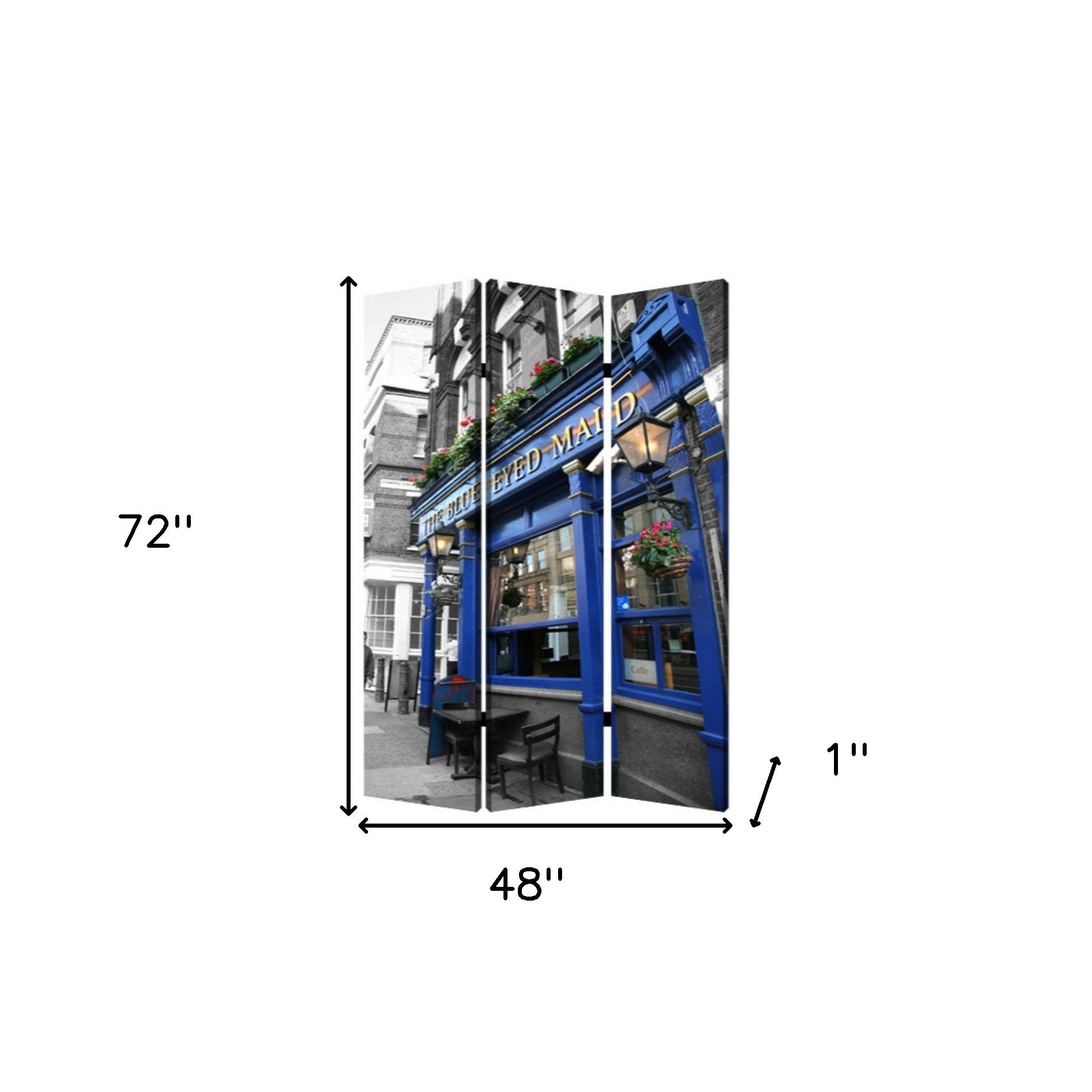 48" X 72" Multi Color Wood Canvas The Blue Eyed Screen-Room Dividers-DECOROLALA