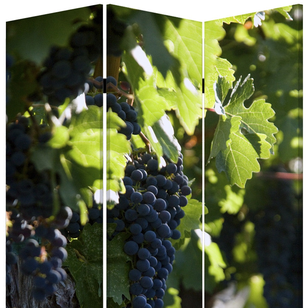 48" X 72" Multi Color Wood Canvas Wine Country Screen-Room Dividers-DECOROLALA