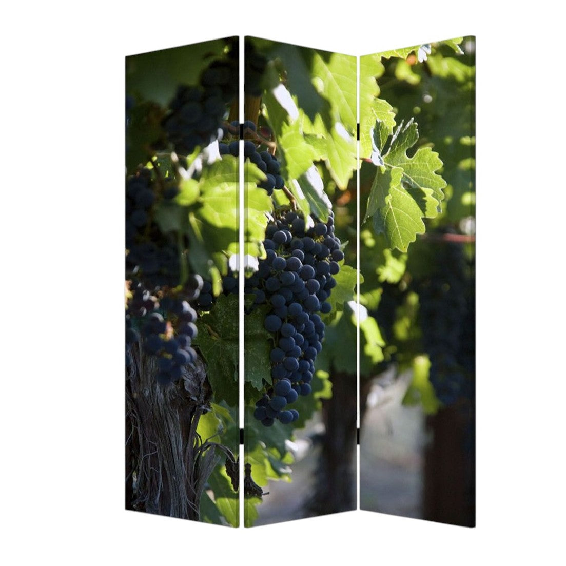 48" X 72" Multi Color Wood Canvas Wine Country Screen-Room Dividers-DECOROLALA