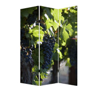 48" X 72" Multi Color Wood Canvas Wine Country Screen-Room Dividers-DECOROLALA