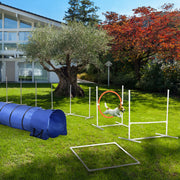 5-Piece Dog Agility Training Equipment Set with Tunnel & Bag-Dogs-DECOROLALA