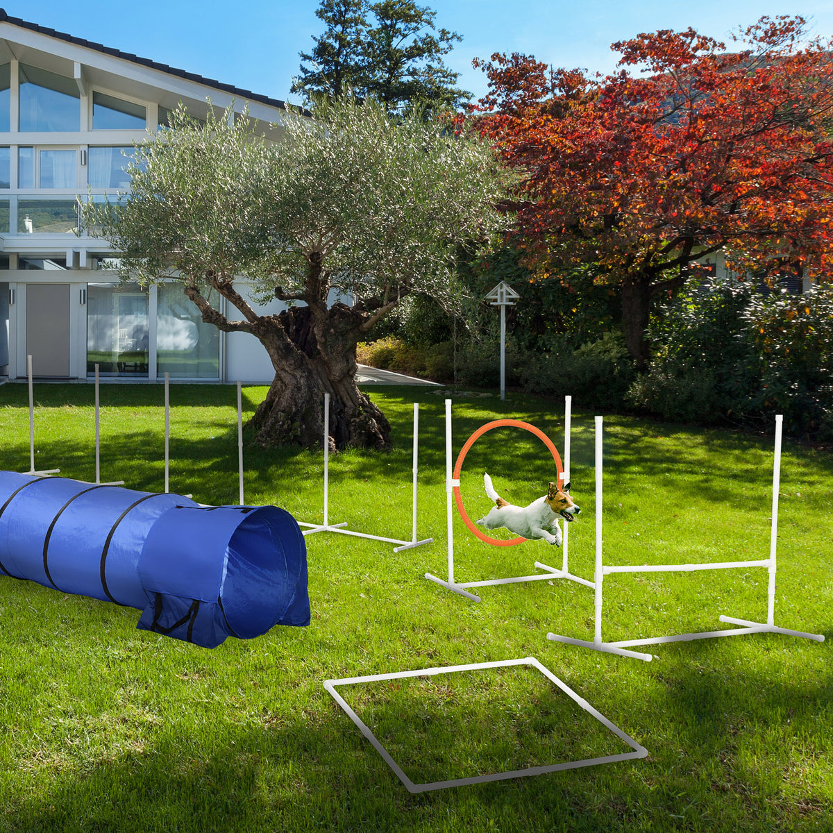 5-Piece Dog Agility Training Equipment Set with Tunnel & Bag-Dogs-DECOROLALA