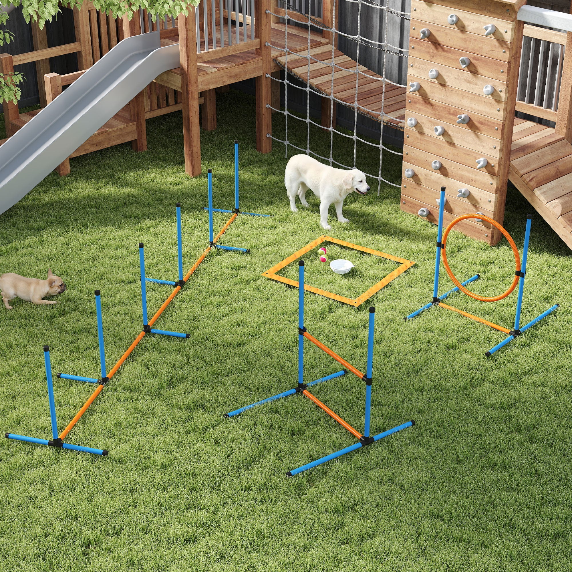 5-Piece Dog Agility Training Starter Kit with Carrying Bag-Dogs-DECOROLALA