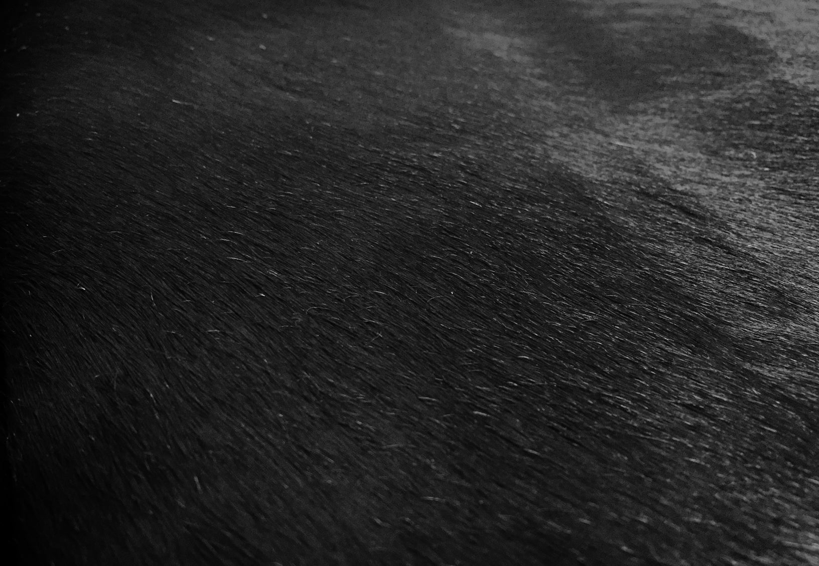 5' X 6' Brown And White Cowhide Handmade Area Rug-Area Rugs-DECOROLALA