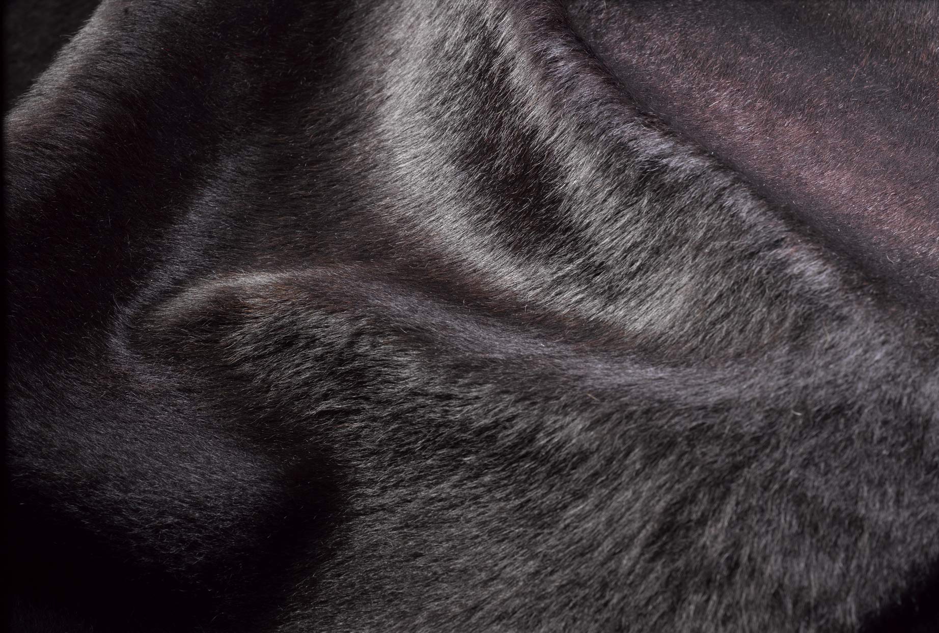 5' X 7' Black And Gold Cowhide Cowhide Print Area Rug-Area Rugs-DECOROLALA