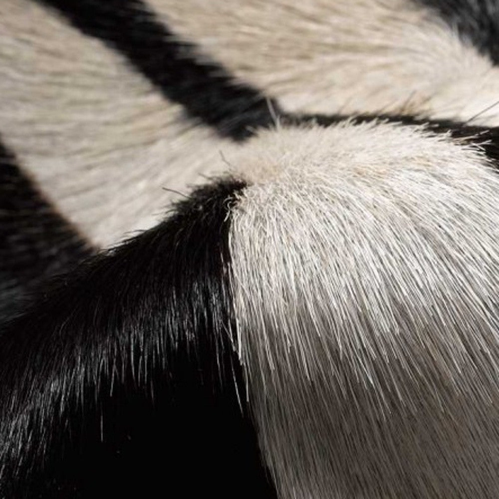 5' X 7' Zebra Stripe Black And White Natural Cowhide Area Rug-Area Rugs-DECOROLALA