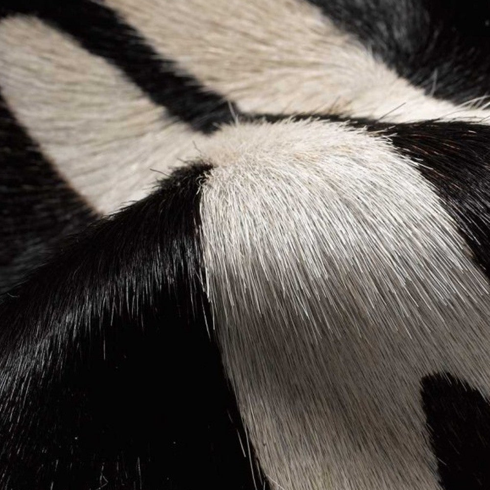 5' X 7' Zebra Stripe Black And White Natural Cowhide Area Rug-Area Rugs-DECOROLALA