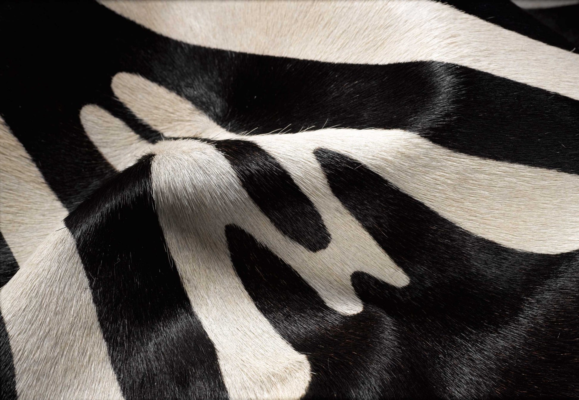 5' X 7' Zebra Stripe Black And White Natural Cowhide Area Rug-Area Rugs-DECOROLALA