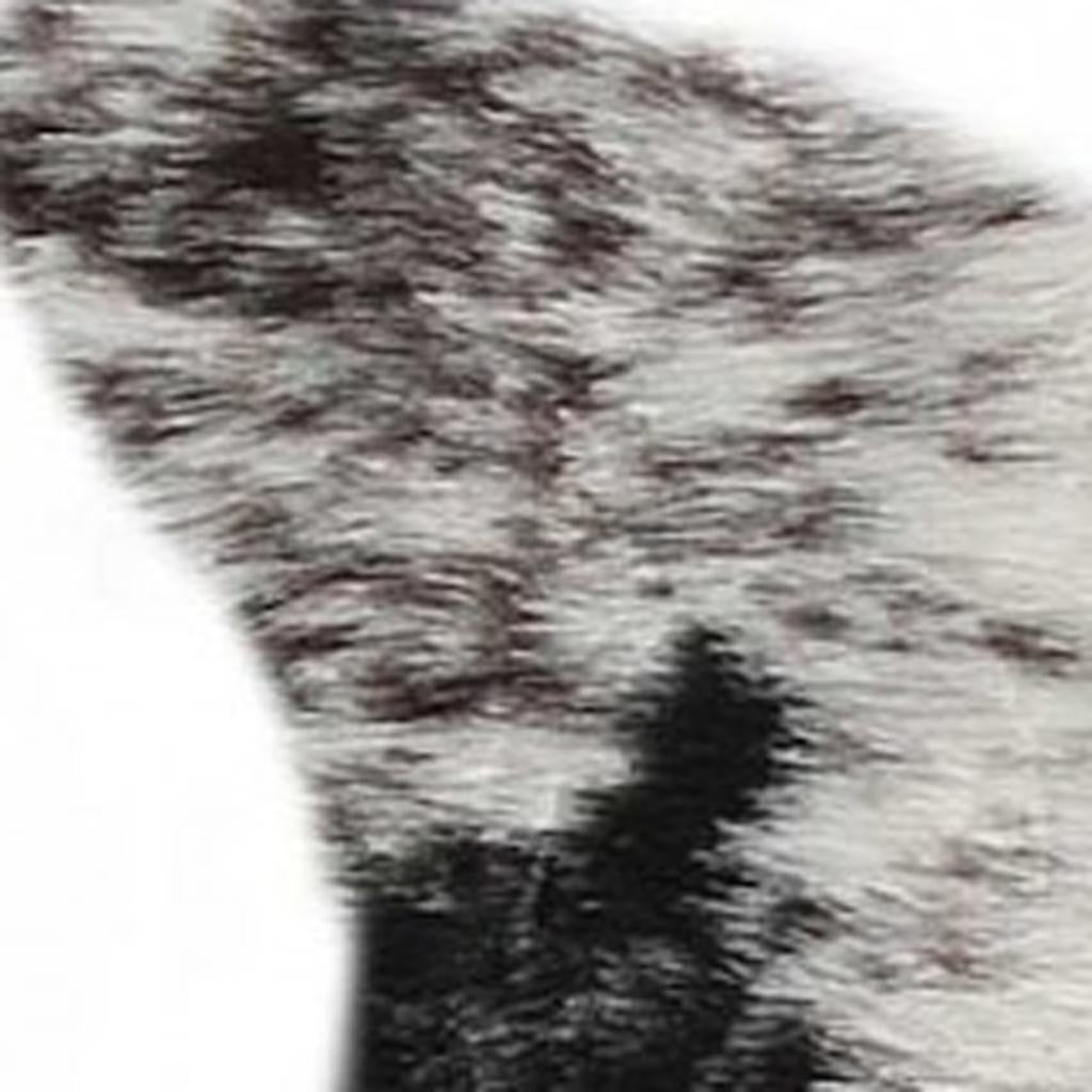 5' X 8' Black And White Faux Fur Animal Print Cowhide Washable Area Rug-Area Rugs-DECOROLALA