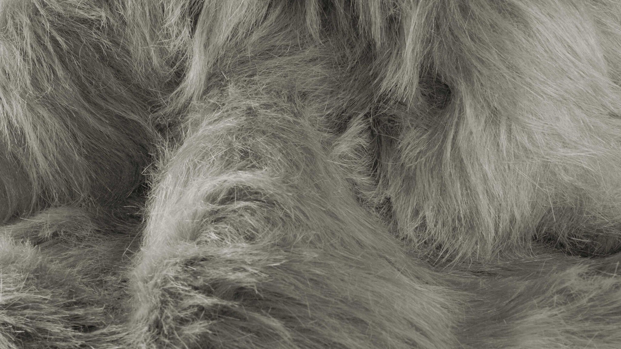 5' X 8' Black Shag Area Rug-Area Rugs-DECOROLALA