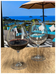 Set of Four Clear Tritan Plastic Stemmed All Purpose Wine Glass-Barware and Drinkware-DECOROLALA