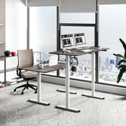55 Inch Electric Height Adjustable Office Desk with Hook-Dark Gray-Standing Desks-DECOROLALA