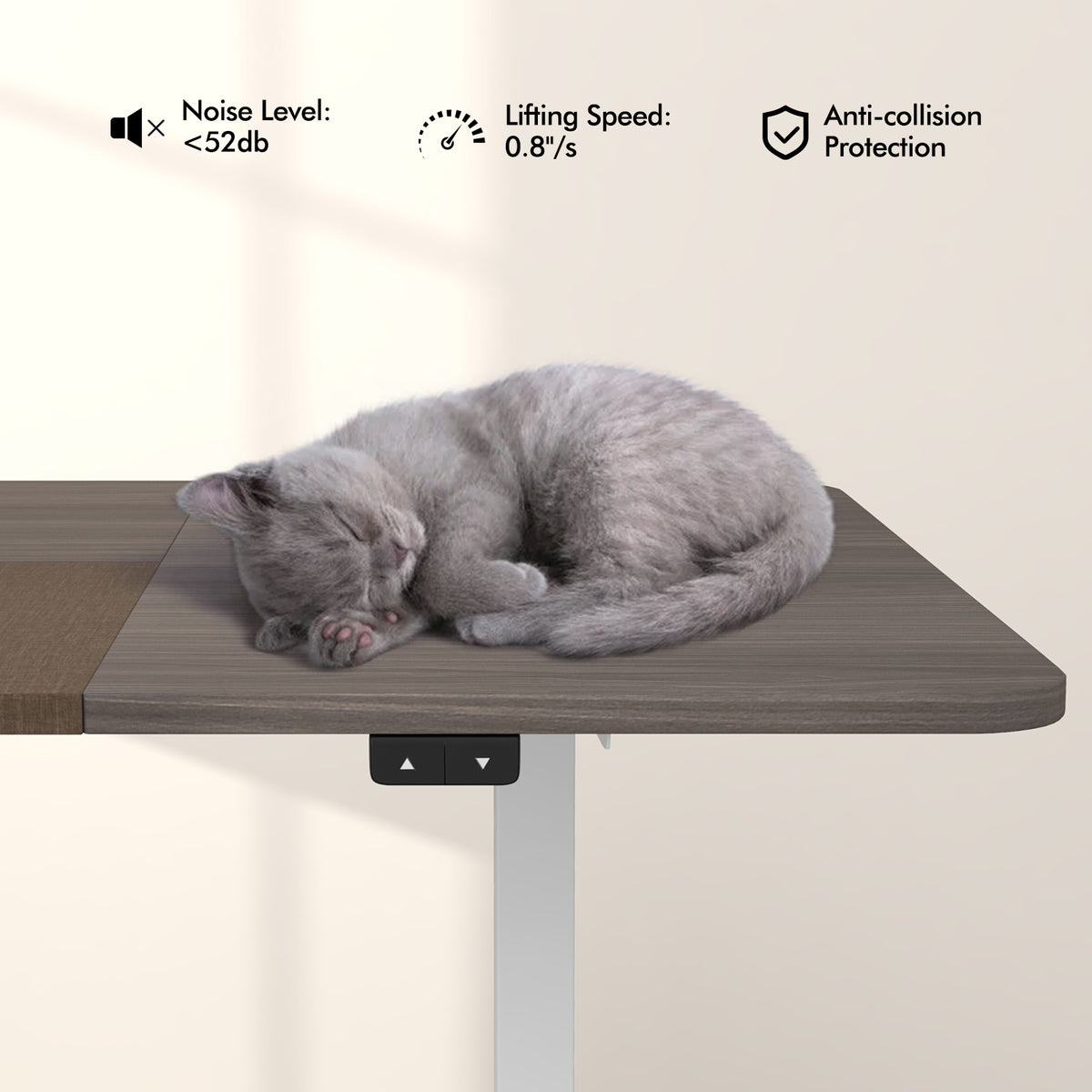 55 Inch Electric Standing Desk Adjustable with Cable Management Hole-Gray-Standing Desks-DECOROLALA