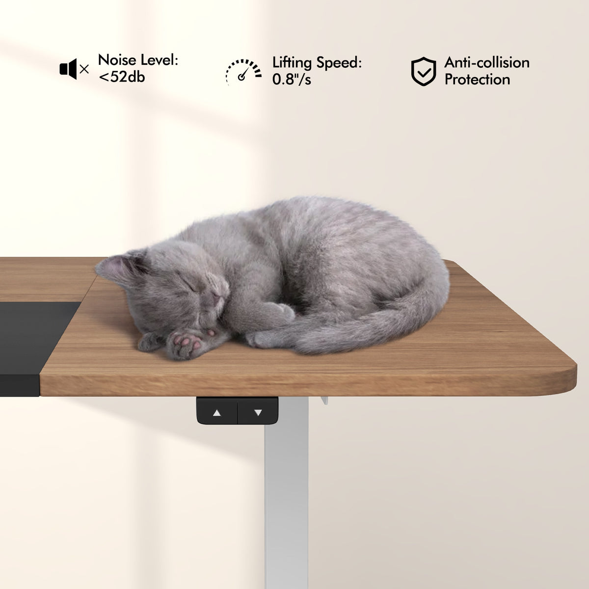 55 Inch Electric Standing Desk Adjustable with Cable Management Hole-Natural-Standing Desks-DECOROLALA