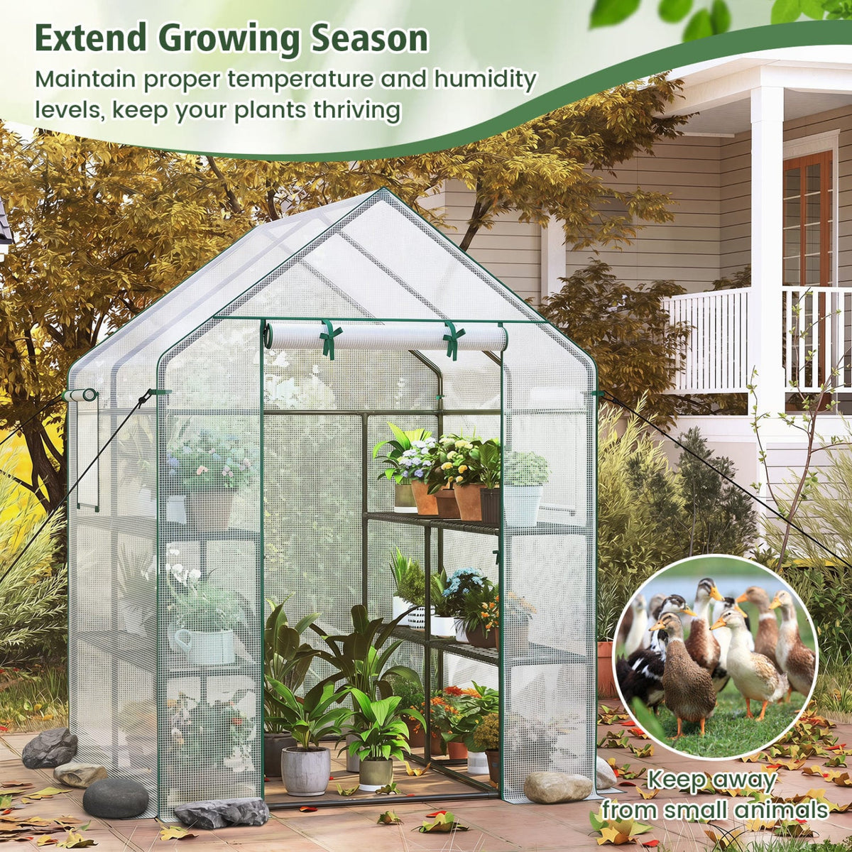 56 x 56 x 77 Inch Walk-in Greenhouse with Observation Windows-White-Greenhouses-DECOROLALA